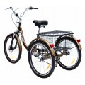 Велосипед триколісний для дорослих Ardis Liman 24"